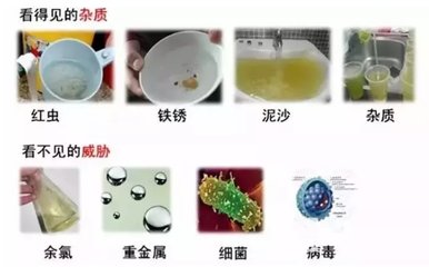 饮用水中的微生物与细菌引发的疾病
